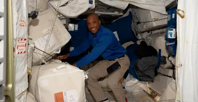 Sewn Flight Articles – Softgoods - Offered in the Near Future program