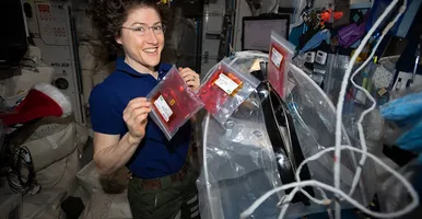 Biomedical Science - Note: New Projects being Added for 2025-26 program